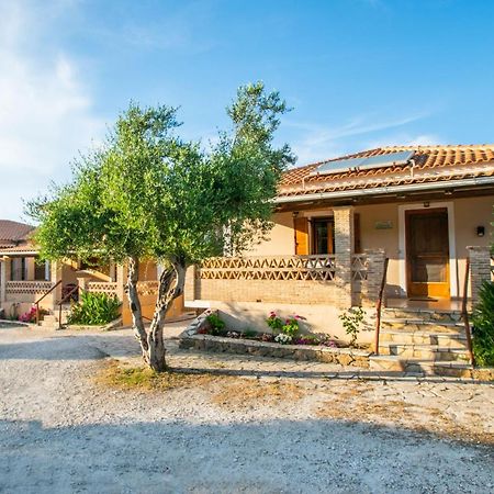 Vasilikí Aeolos Zante Villas With Heated Pool מראה חיצוני תמונה